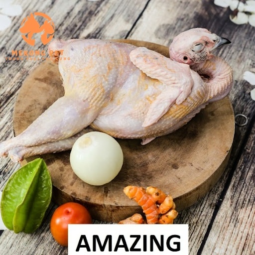 Mua Bán Chim Trĩ Thịt Tại TPHCM: Địa Chỉ Uy Tín, Chất Lượng Cho Người Yêu Thích Ẩm Thực.